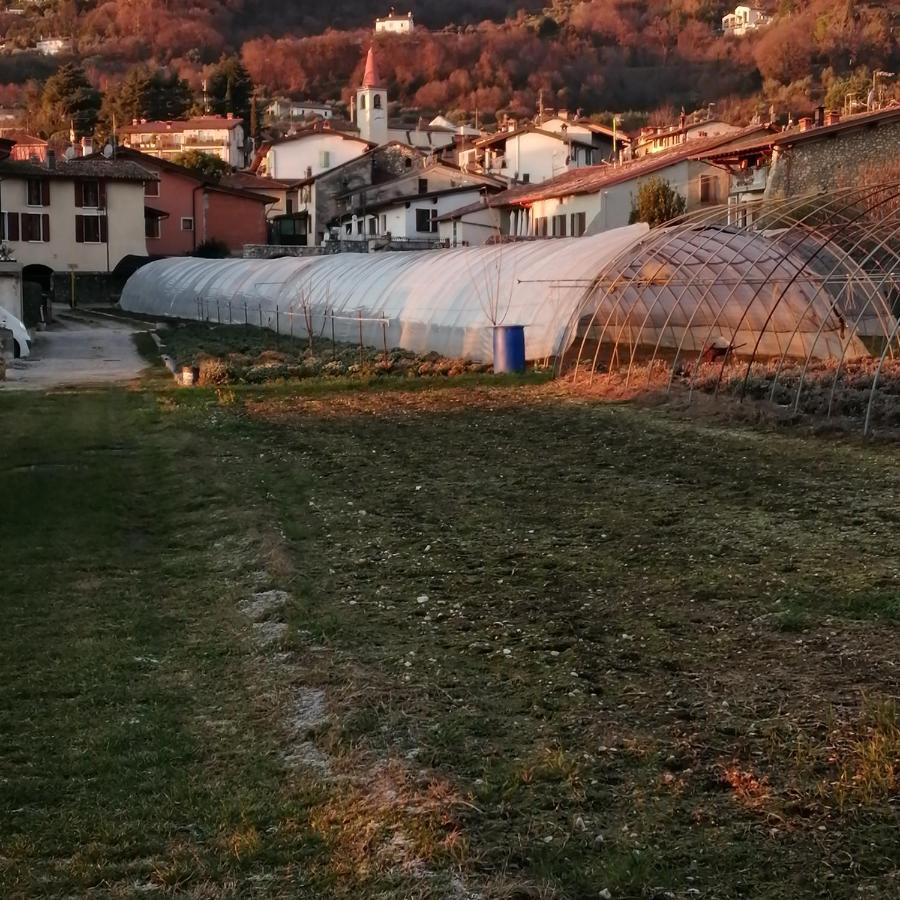 Agriturismo Corte Fontana App. Barbara Salò Exteriér fotografie